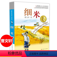 细米 [正版]曹文轩纯美小说系列之《细米》 国际安徒生奖著名文集作品精选 9-12岁儿童小学生3-6三四五六年级课外阅读