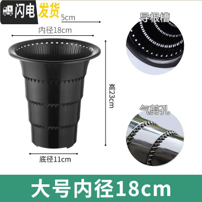 三维工匠透明兰花专用盆高透气双层控根塑料超紫砂陶瓷沥水罩兰花盆 口径18cm黑色兰花内盆[气剪孔] 中等花盆容器