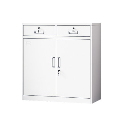 博邦瑞达 备品柜 二斗矮柜 850*390*900mm 个