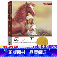 风之王[新蕾出版社] [正版]风之王课外书新蕾出版社国际大奖小说升级版非注音版赵水芬译玛格莉特亨利著小学生3456三四五