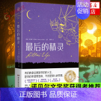 [正版]Z后的精灵 意大利安徒生作品集 希瓦娜达玛利著 诺贝尔文学奖获得者 一个让人笑过之后深沉省思的成人童话 外国小说