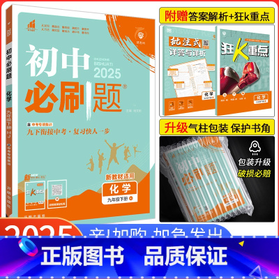 [沪教版]化学 九年级上 [正版]2025新版初中九年级下册化学沪教版HJ 初三九年级下册化学同步练习册同步辅导书中考沪