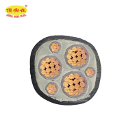 傻实在 电缆 国标全项保检 GEFR 3*150mm²+3*25mm² 米