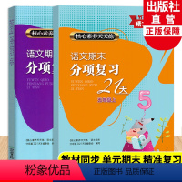 语文 小学五年级 [正版]语文期末分项复习21天五年级上下全2册 核心素养天天练 小学生单元同步测试卷期中末综合复习冲刺