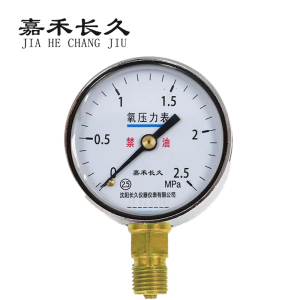 嘉禾长久 氧气压力表减压器表头检测定制型 YO60 块
