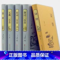 [正版]唐诗三百首元曲三百首+宋词三百首+诗经+楚辞 中华诗词大全国学典藏书系 中国古诗词大全集 中国古典诗词鉴赏大全