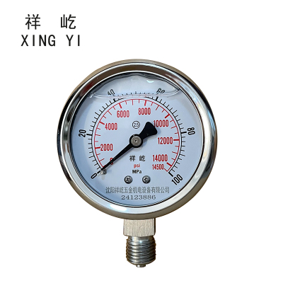 祥屹 不锈钢耐震压力表 YN60BF 块