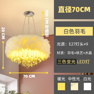 苏宁放心购 简约现代LED水晶羽毛灯浪漫结婚灯饰网红卧室ins少女创意吸顶吊灯