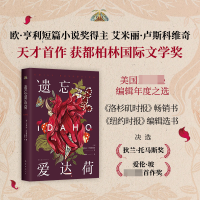 音像遗忘爱达荷(美)艾米丽?卢斯科维奇|译者:杨扬