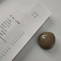 [M]自由人生(全新修订版)-9787569500721