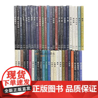图画通识丛书(全四十九册)柏拉图+莎士比亚+黑格尔+康德+凯恩斯+乔姆斯基+瓦格纳+笛卡尔+罗素+卢梭+伦理学+存在主义