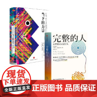 当下的力量(白金版)[德] 埃克哈特·托利 励志成功 埃克哈特·托利著张德芬作序 自我励志经典之作 中信出版社