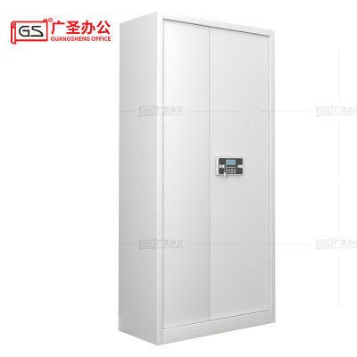 GS广圣 保密柜办公柜通门文件柜 BMG0202 一台