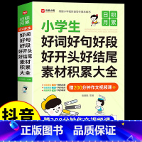[赠200分钟视频课]好词好句好段 小学通用 [正版]小学生好词好句好段好开头好结尾素材积累大全摘抄本小学一二三四五六年