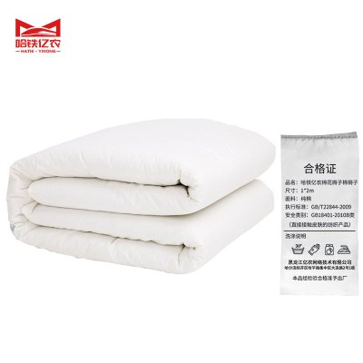 哈铁亿农 棉花褥子棉褥子 4斤 1*2m 条