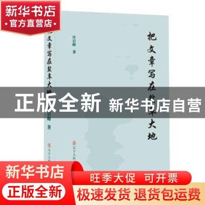 正版 把文章写在盐阜大地 许岩峰著 辽宁人民出版社 978720510468