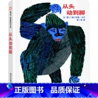 [精装]从头动到脚(纸板书) [正版]妈妈买绿豆绘本 3-8岁儿童图画书 课外书 读物故事书图画书绘本明天出版社妈妈买绿