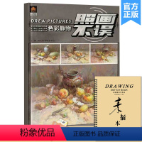 [正版]照画不误色彩静物 2022领先教学