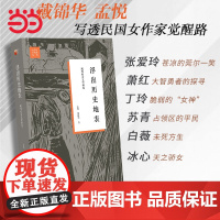 浮出历史地表 现代妇女文学研究 戴锦华 文学与当代史丛书女性批评理论 运用女性主义研究 北京大学出版社 正版书籍