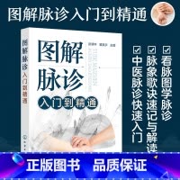 [正版]图解脉诊入门到精通 中医脉诊基础理论快速入门 把脉辨证诊断学脉象图谱图解脉诊 看脉图学脉诊 脉象歌诀速记解读图书