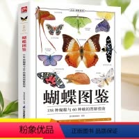 [正版]蝴蝶图鉴蝴蝶家族生态图解 精美蝴蝶图片生命科学 蝴蝶的分类生物学等基础知识 世界蝴蝶名录 图鉴蝴蝶品种图鉴蝴蝶