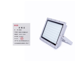 浙冠荣 GRDF97-300W 免维护LED防爆泛光灯