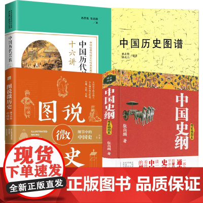 [4册]中国史纲+中国历代兴衰十六讲+中国历史图谱+图说微历史:细节中的中国史 书籍