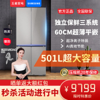 三星RF50DG5131QQSC超薄嵌入式 501升 三循环 AI节能 智能十字对开门冰箱青锦灰