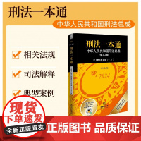 新版 刑法一本通2025适用第十七版第17版 中华人民共和国刑法总成含刑法修正案(十二)中国刑法典 法律出版社