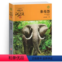 [正版]完整版象母怨全本沈石溪的图书籍动物小说大王品藏系列小学生三四五六年级儿童文学作品珍藏全集1全套单本一新版阅读大