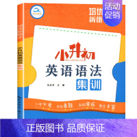 [单本]英语语法 小学升初中 [正版]小升初英语语法集训三四五六年级小学英语语法专项训练题117个知识点大全系统总复习人