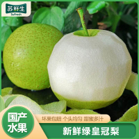 [苏鲜生]精品绿皇冠梨 新鲜水果 松脆多汁 净重4.5-5.2斤 单果250g以上
