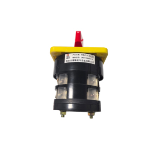 博隆机车 转换开关 LW26-63D606J/6 个