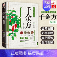 [正版]千金方(精版) 千金方全集 孙思邈原著全套彩图 中药学中草药大全 中医基础理论 中医类书籍大全 中医入门医学类中