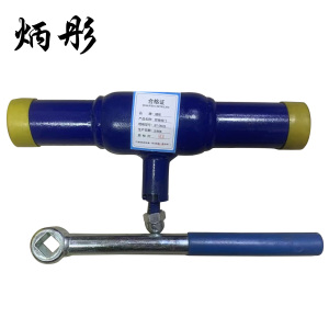 炳彤 焊接阀门 BT-DN25 个