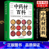 中药材百科 [正版]中药材百科详解药性药理功效选购要点用法用量贮藏方法产地溯源功能主治偏方验方保健药膳四性五味零基础自学