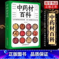 中药材百科 [正版]中药材百科详解药性药理功效选购要点用法用量贮藏方法产地溯源功能主治偏方验方保健药膳四性五味零基础自学