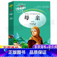 [正版]母亲书籍高尔基原著小学生青少年三四五六年级必读经典文学名著彩图美绘插画版名师导读带批注读后感山东美术出版社无障