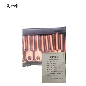 晟帝峰 铜线鼻子 DT-95平方 只