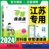 [正版]2024年新版通城学典 非常课课通初中数学九年级上9年级上册苏教版苏科版江苏凤凰教育出版社初中同步辅导书重