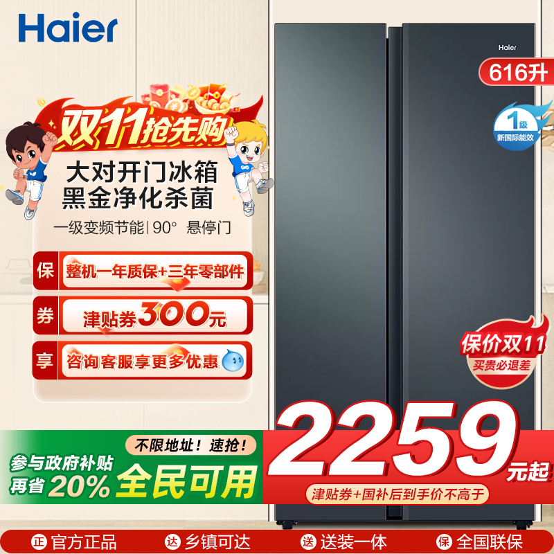 海尔(Haier)616升对开门超薄嵌入冰箱 鲸式储量 黑金净化 双变频一级能效 BCD-616WGHSSEDC9
