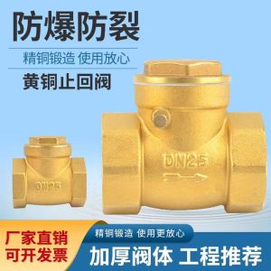 中锦科技 铜卧式止回阀逆止阀单向阀 定制 个