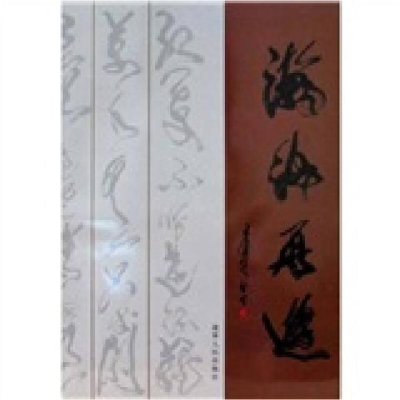 正版新书]瀚海再遊唐雙宁9787205061784