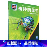 奇妙的昆虫 [正版]奇妙的昆虫