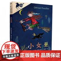 正版童书小女巫美绘版彩乌鸦系列10周年版儿童文学童话故事书全国中小学图书馆数目二三四五六年级小学生课外阅读