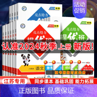 语文•人教版 二年级上 [正版]2024秋亮点给力提优班多维互动空间二年级下册三年级语文数学人教四年级下册五六上册英语苏