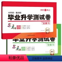 小升初试卷 语数 (全2册) [正版]2024小升初重点学校毕业升学测试卷小学六年级下册总复习资料小升初试卷语文数学英语