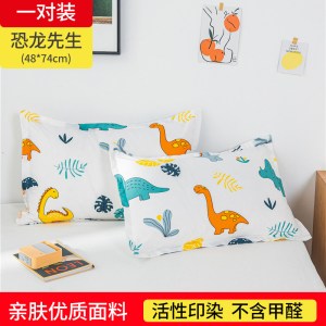一对装纯色枕套成人枕头套单人卡通枕芯套 48x74cm春夏秋冬季
