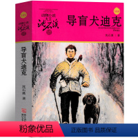 导盲犬迪克 [正版]导盲犬迪克 沈石溪动物小说精品集系列儿童文学小学生课外书长篇单本作品全集珍藏版品藏书系大王升级版三四