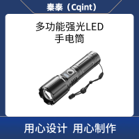 秦泰(Cqint)CQT-11 LED强光手电筒,USB充电(计价单位:个)